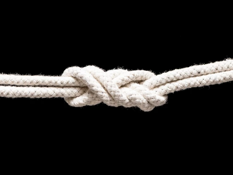 61bdf3_e3b4b00d5cd542b7b7083d55e66435b7_mv2